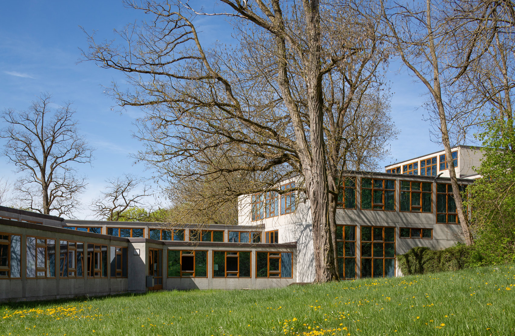 Foundation of the Ulm School of Design