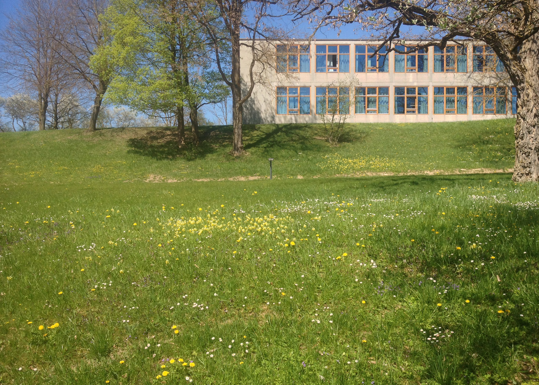 Blick von Süden auf die HfG